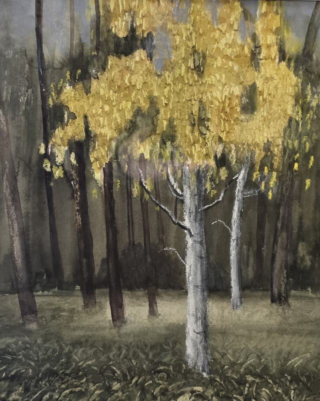 "Birke im Herbst" /